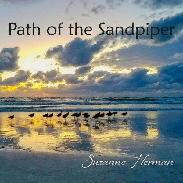 Path of the Sandpiper